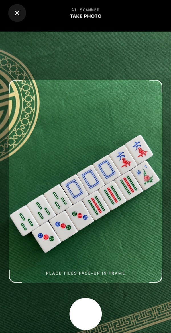 Scanning a mahjong hand: 14 tiles face up inside the camera frame